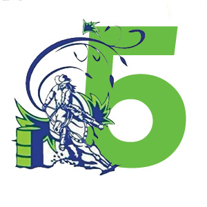 tour of champions final stop icon